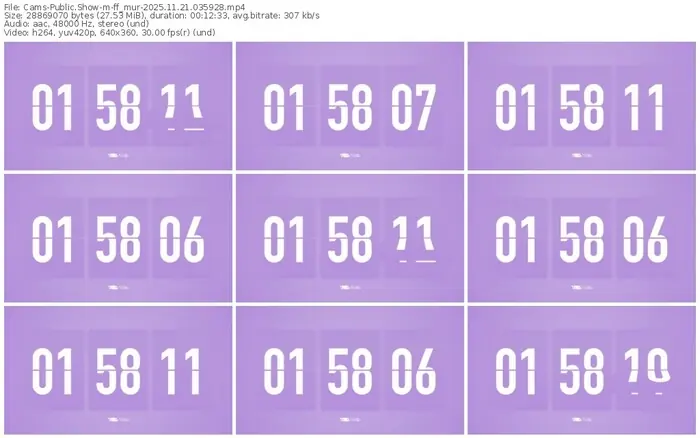 cams-ff_mur-11-21-2025-03-59-28