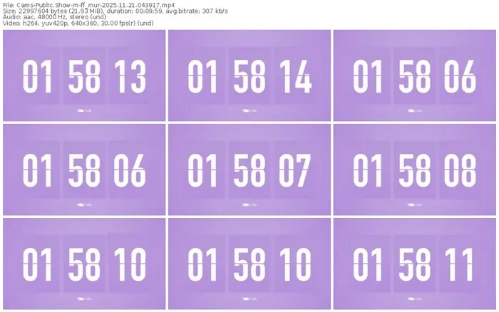 cams-ff_mur-11-21-2025-04-39-17