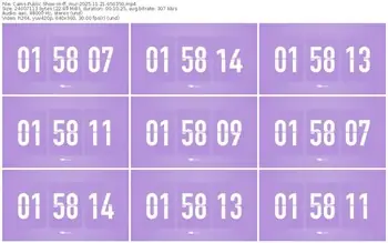 cams-ff_mur-11-21-2025-05-03-50