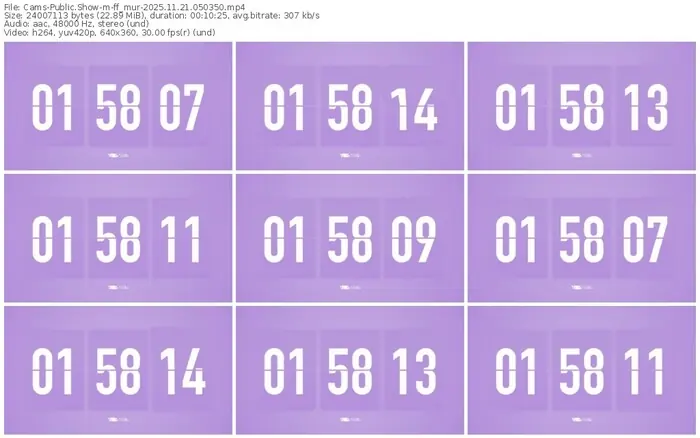 cams-ff_mur-11-21-2025-05-03-50