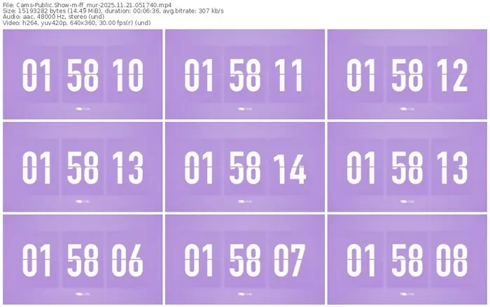 cams-ff_mur-11-21-2025-05-17-40