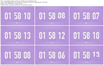 cams-ff_mur-11-21-2025-05-24-14