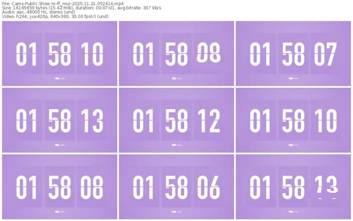 cams-ff_mur-11-21-2025-05-24-14