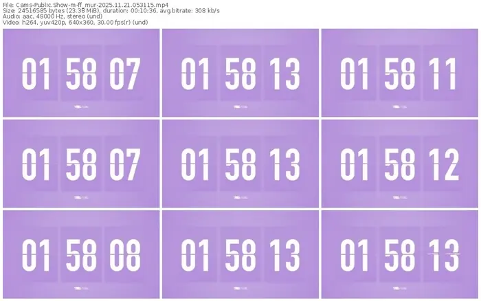 cams-ff_mur-11-21-2025-05-31-15