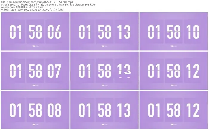 cams-ff_mur-11-21-2025-05-47-48