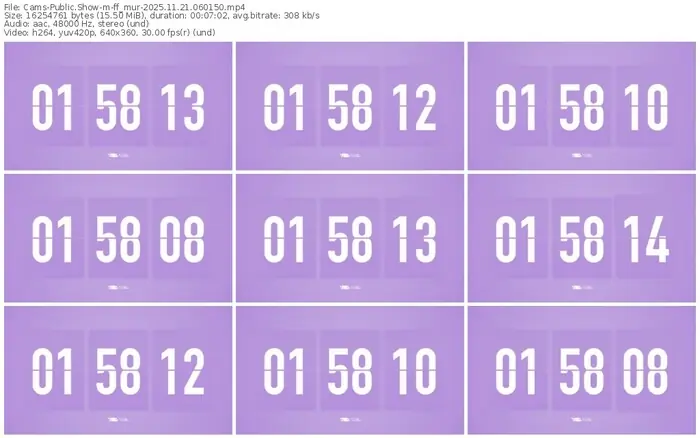 cams-ff_mur-11-21-2025-06-01-50