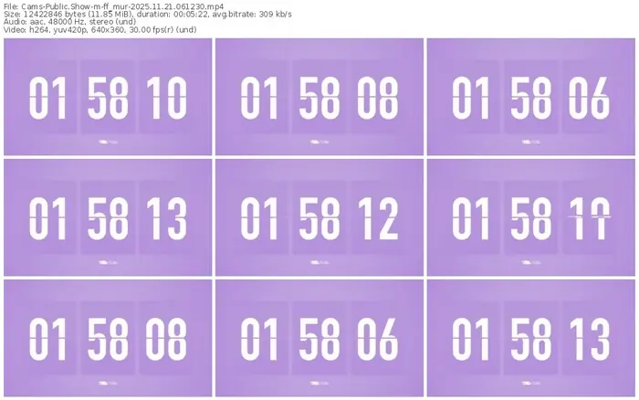 cams-ff_mur-11-21-2025-06-12-30