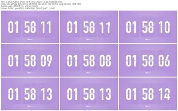 cams-ff_mur-11-21-2025-06-24-28