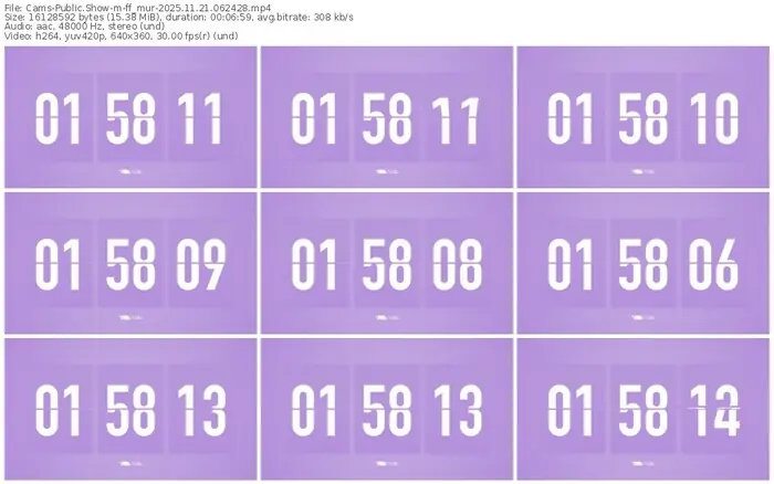 cams-ff_mur-11-21-2025-06-24-28