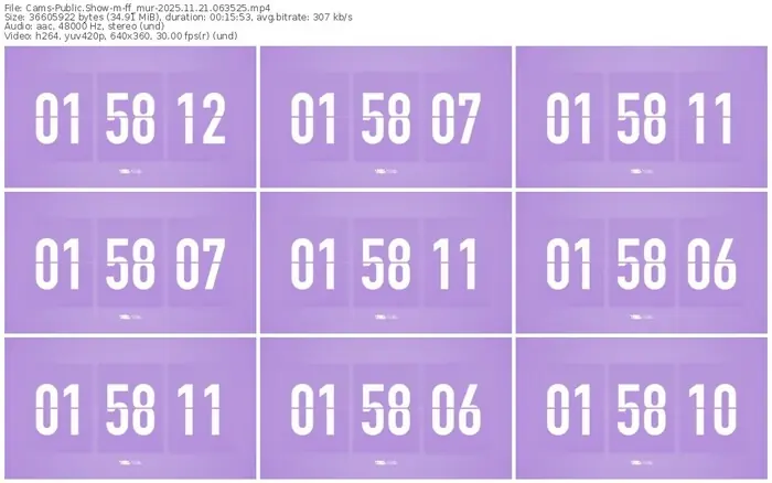 cams-ff_mur-11-21-2025-06-35-25