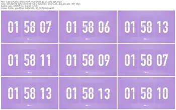 cams-ff_mur-11-21-2025-07-03-26