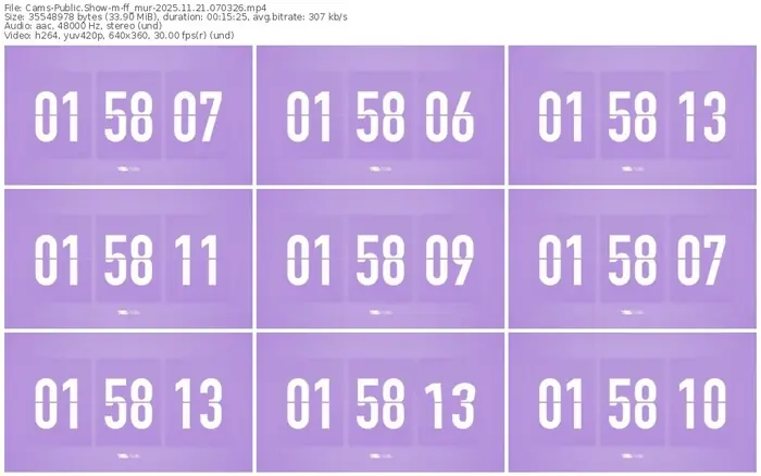 cams-ff_mur-11-21-2025-07-03-26