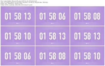 cams-ff_mur-11-21-2025-07-42-22