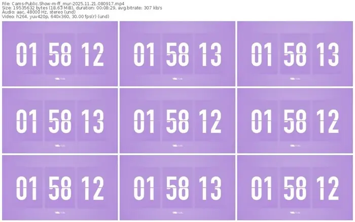 cams-ff_mur-11-21-2025-08-09-17