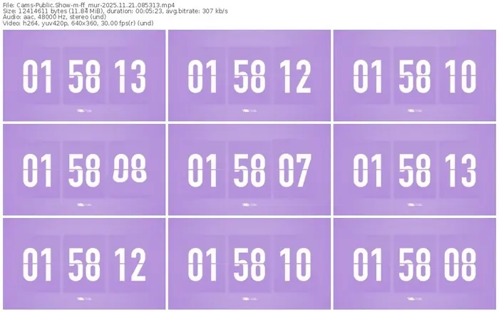 cams-ff_mur-11-21-2025-08-53-13