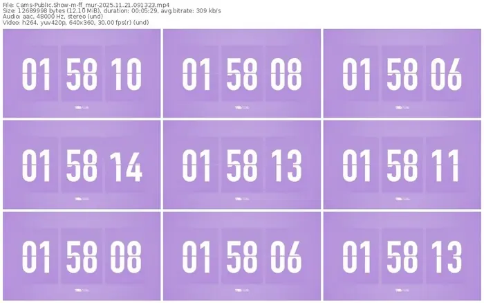 cams-ff_mur-11-21-2025-09-13-23