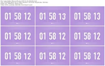 cams-ff_mur-11-21-2025-09-23-31