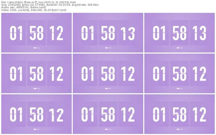 cams-ff_mur-11-21-2025-09-23-31