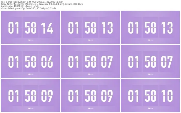 cams-ff_mur-11-21-2025-09-33-40