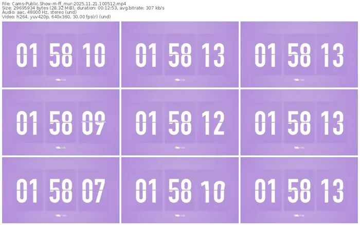 cams-ff_mur-11-21-2025-10-05-12