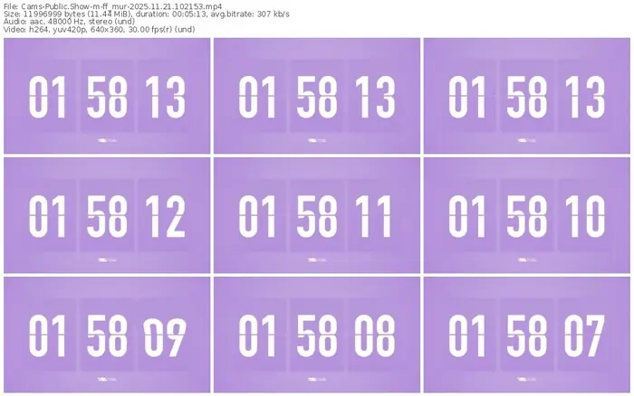 cams-ff_mur-11-21-2025-10-21-53