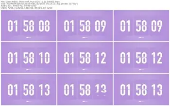 cams-ff_mur-11-21-2025-10-59-31