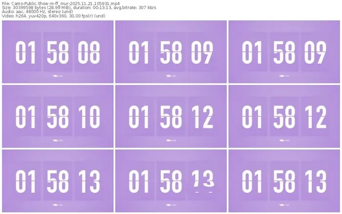 cams-ff_mur-11-21-2025-10-59-31
