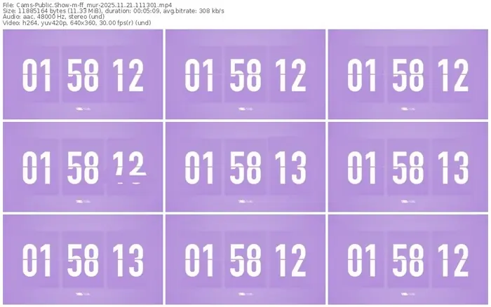 cams-ff_mur-11-21-2025-11-13-01