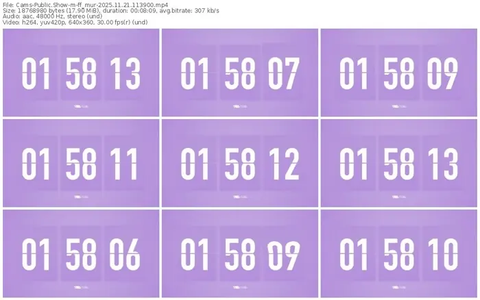 cams-ff_mur-11-21-2025-11-39-00