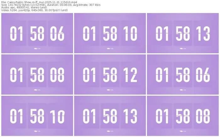 cams-ff_mur-11-21-2025-11-56-10