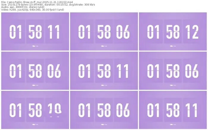 cams-ff_mur-11-21-2025-12-02-22