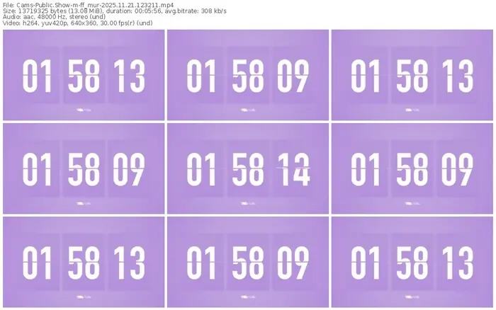 cams-ff_mur-11-21-2025-12-32-11