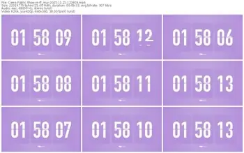 cams-ff_mur-11-21-2025-12-38-03