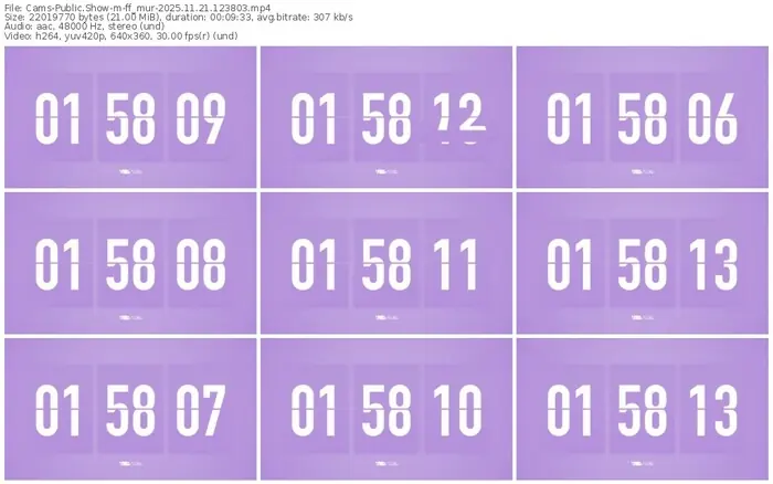 cams-ff_mur-11-21-2025-12-38-03