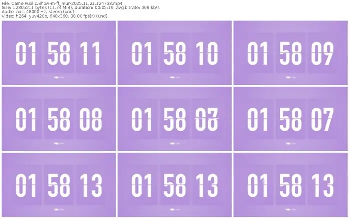 cams-ff_mur-11-21-2025-12-47-33