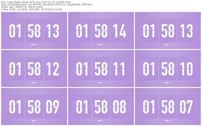 cams-ff_mur-11-21-2025-12-58-21