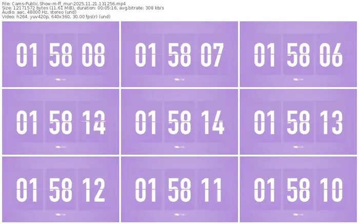 cams-ff_mur-11-21-2025-13-12-56