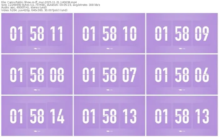 cams-ff_mur-11-21-2025-14-06-38