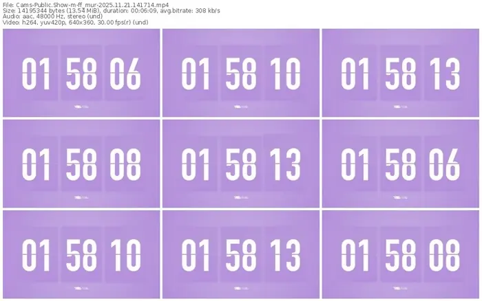 cams-ff_mur-11-21-2025-14-17-14