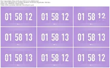 cams-ff_mur-11-21-2025-14-58-10