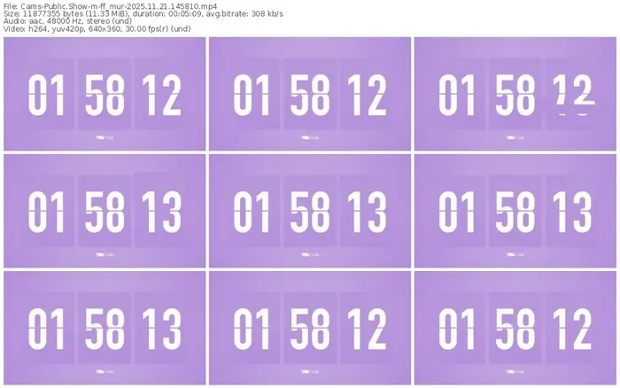 cams-ff_mur-11-21-2025-14-58-10