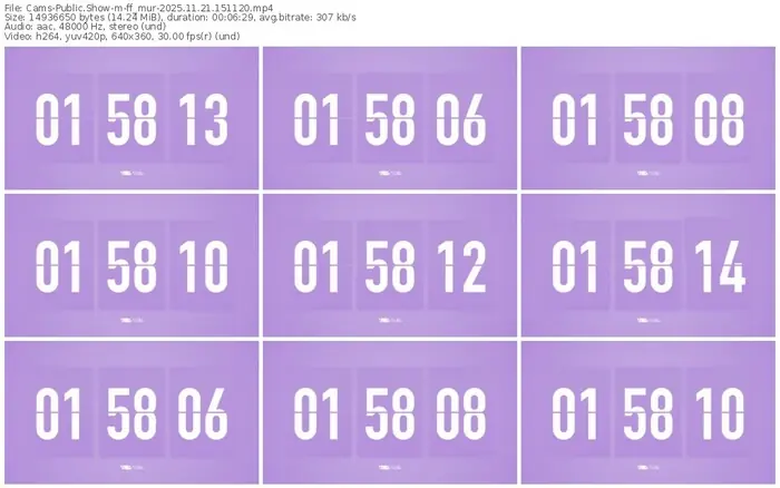 cams-ff_mur-11-21-2025-15-11-20