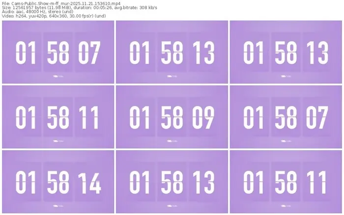 cams-ff_mur-11-21-2025-15-36-10
