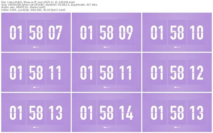 cams-ff_mur-11-21-2025-16-03-34