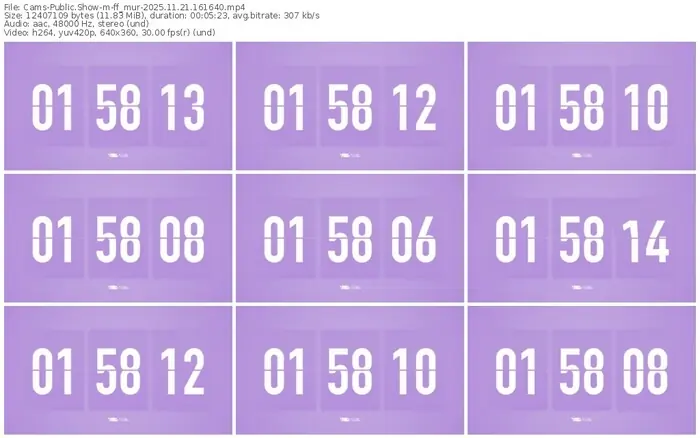 cams-ff_mur-11-21-2025-16-16-40