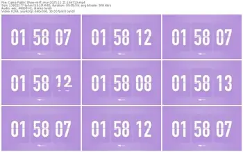 cams-ff_mur-11-21-2025-16-47-10