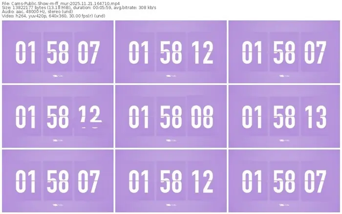 cams-ff_mur-11-21-2025-16-47-10