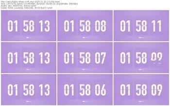 cams-ff_mur-11-21-2025-17-10-52