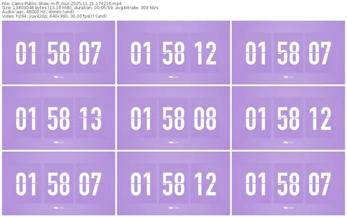 cams-ff_mur-11-21-2025-17-42-16