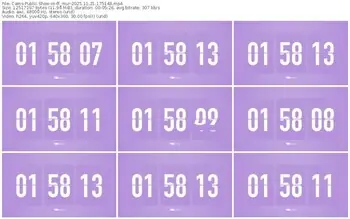 cams-ff_mur-11-21-2025-17-51-48